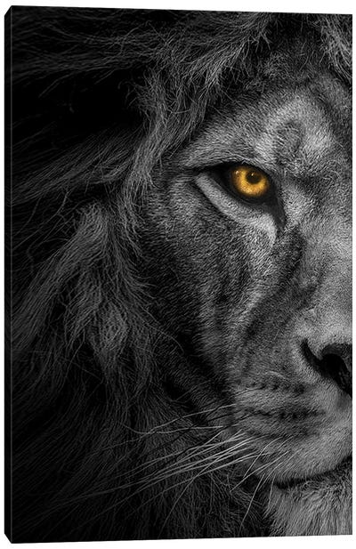 Lion Black And White With Color Eyes Half Face Canvas Art Print - Adrian Vieriu