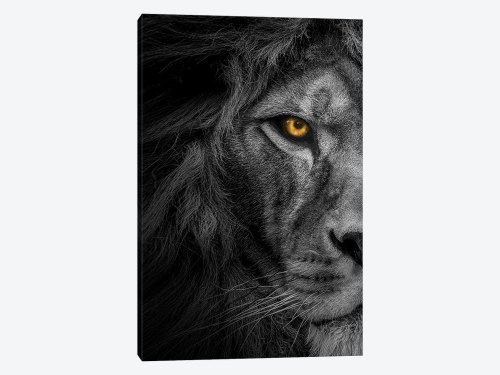 Lion Black And White With Color Eyes Half Face by Adrian Vieriu 1-piece Canvas Art