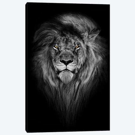 Lion With Color Eyes Full Mane Portrait Canvas Print #AVU48} by Adrian Vieriu Canvas Print