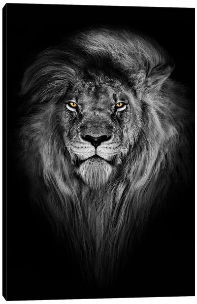 Lion With Color Eyes Full Mane Portrait Canvas Art Print - Adrian Vieriu
