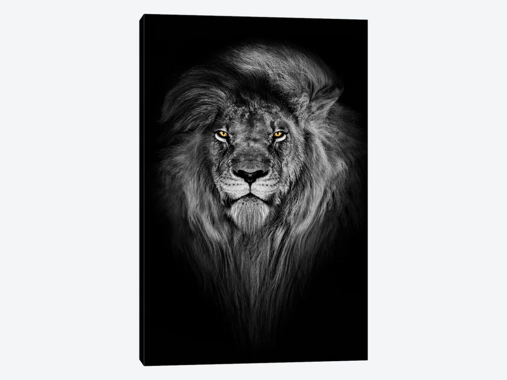 Lion With Color Eyes Full Mane Portrait by Adrian Vieriu 1-piece Canvas Art Print