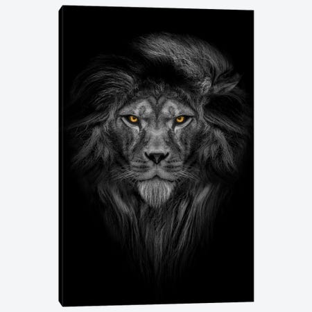 Lion With Color Eyes Full Mane Portrait II Canvas Print #AVU49} by Adrian Vieriu Canvas Print