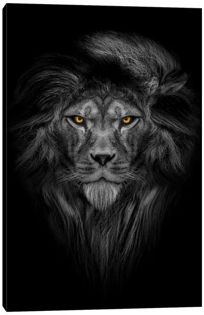 Lion With Color Eyes Full Mane Portrait II Canvas Art Print - Adrian Vieriu