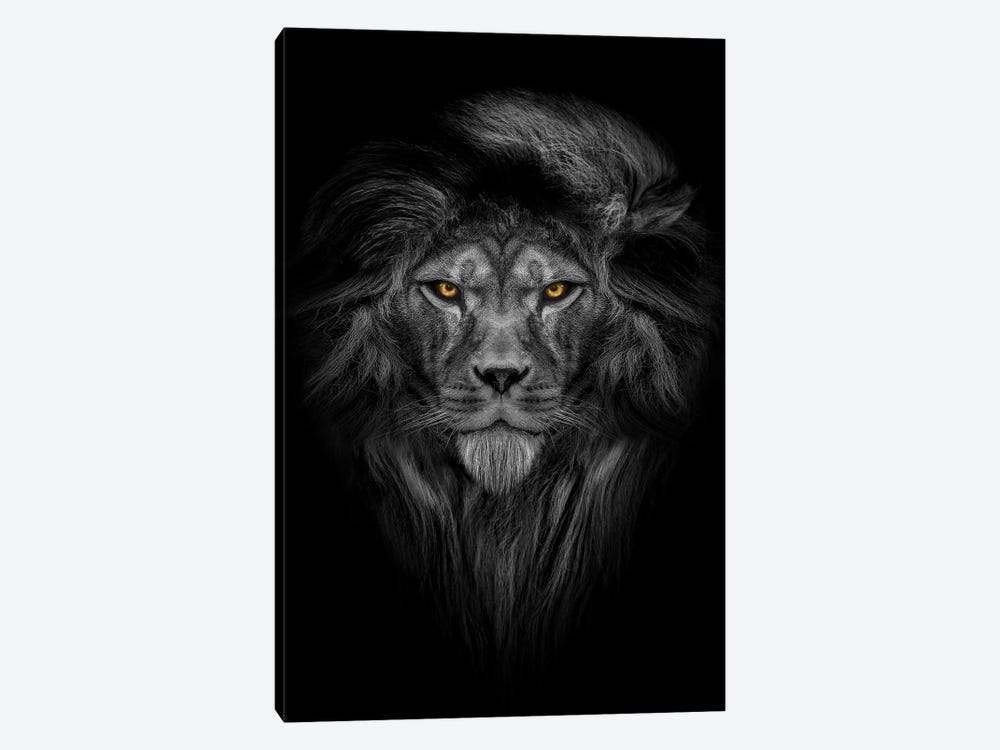 Lion With Color Eyes Full Mane Portrait II by Adrian Vieriu 1-piece Canvas Art