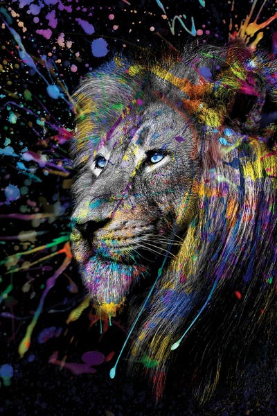 Head Lion Full Colors , Abstract Art