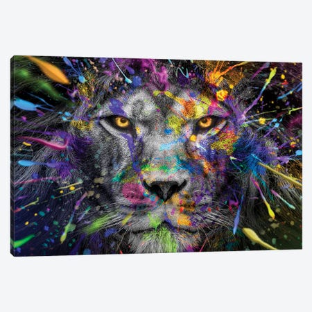 Lion Close Up Stare Full Colors Canvas Print #AVU54} by Adrian Vieriu Canvas Art Print