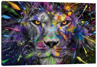 Lion Close Up Stare Full Colors Canvas Art Print - Adrian Vieriu