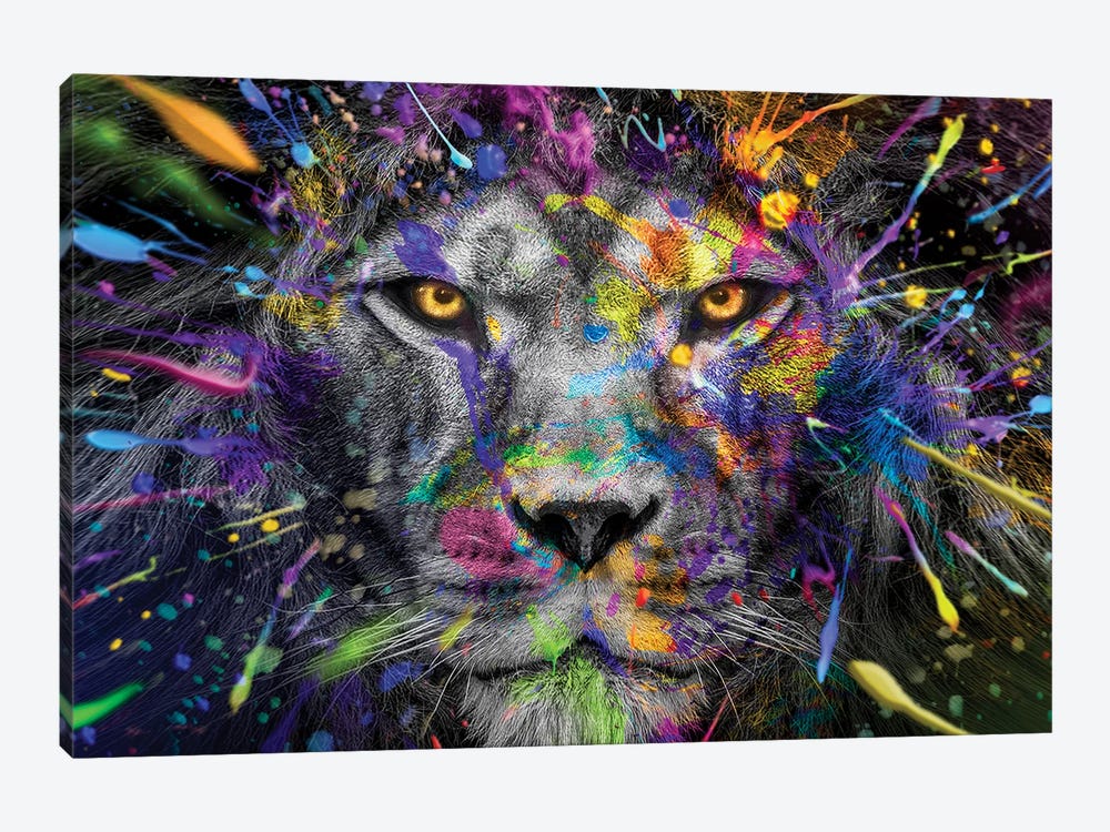 Lion Close Up Stare Full Colors by Adrian Vieriu 1-piece Canvas Wall Art
