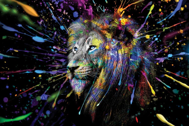 Lion Looking Off Full Colors