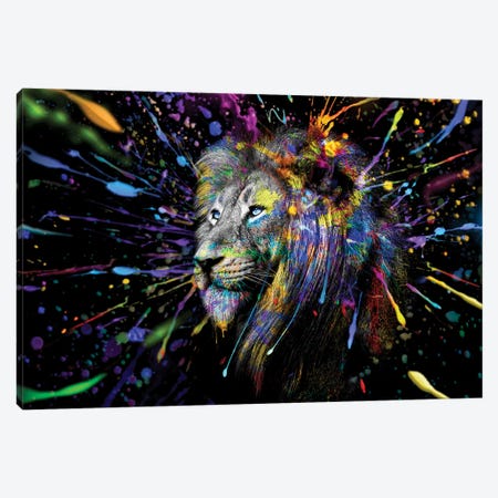 Lion Looking Off Full Colors Canvas Print #AVU55} by Adrian Vieriu Canvas Art Print