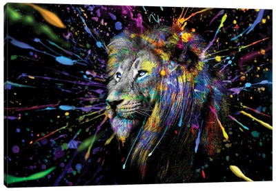 Lion Looking Off Full Colors Canvas Art Print - Adrian Vieriu