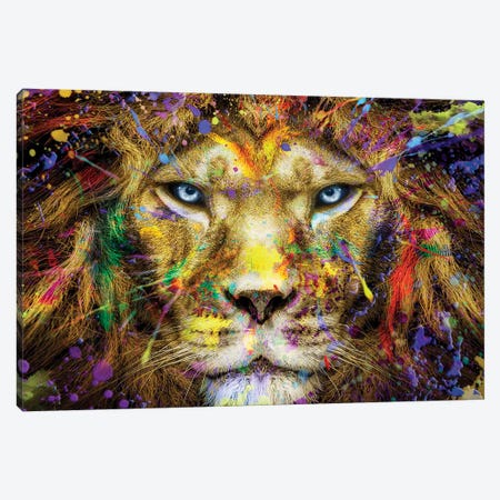 Lion Intense Stare Full Colors Canvas Print #AVU56} by Adrian Vieriu Canvas Art Print