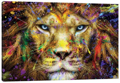 Lion Intense Stare Full Colors Canvas Art Print - Adrian Vieriu