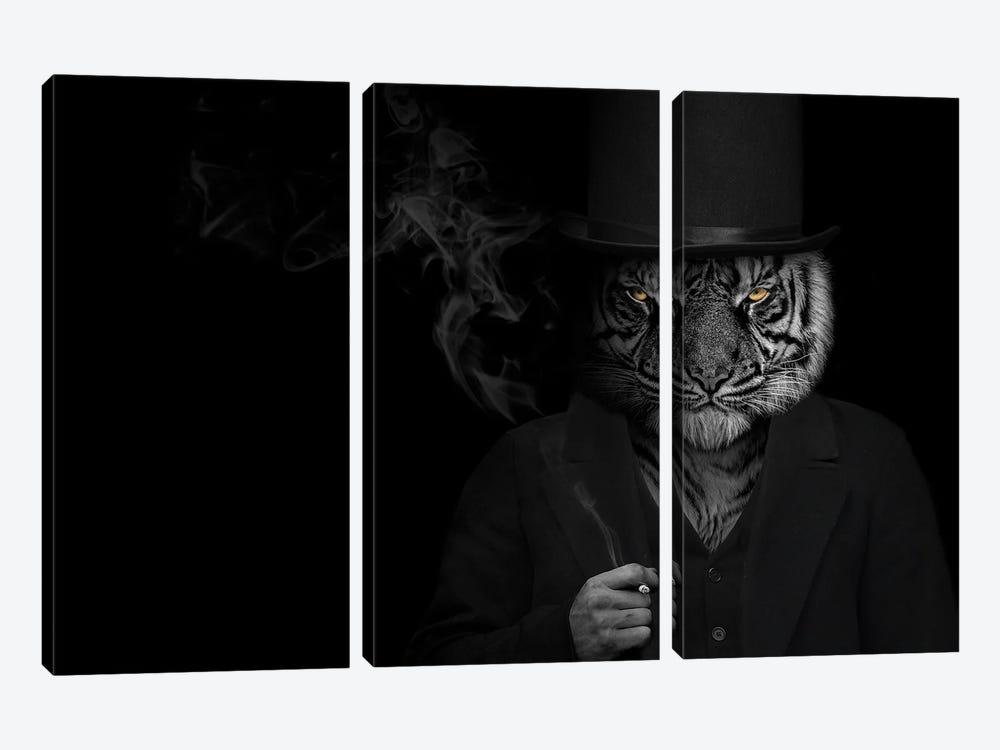 Man In The Form Of A Tiger Person Smoking by Adrian Vieriu 3-piece Canvas Wall Art