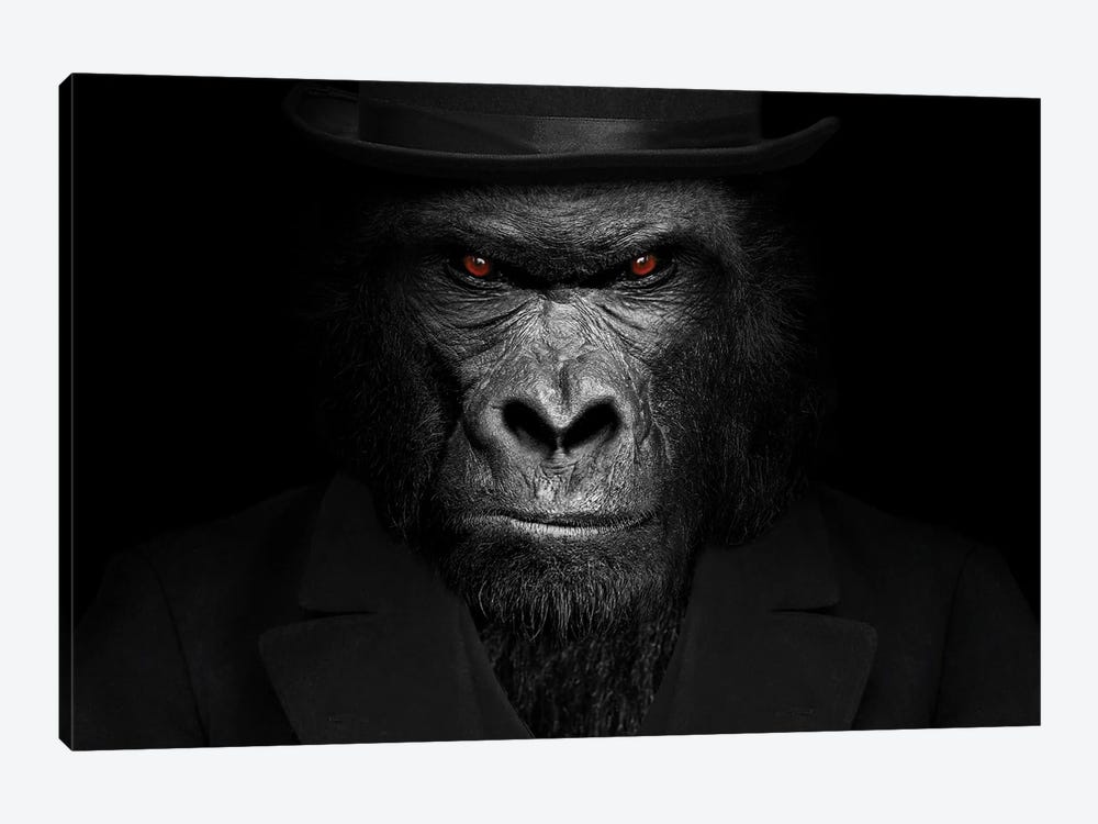 Man In The Form Of A Gorilla Person Close Up Staring by Adrian Vieriu 1-piece Canvas Print