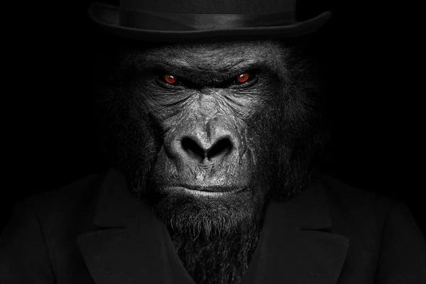 Gorillas: Man In The Form Of A Gorilla Person Close Up Staring by Adrian Vieriu