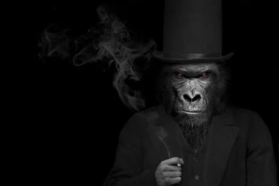 Man In The Form Of A Gorilla Person Smoking by Adrian Vieriu acrylic art print