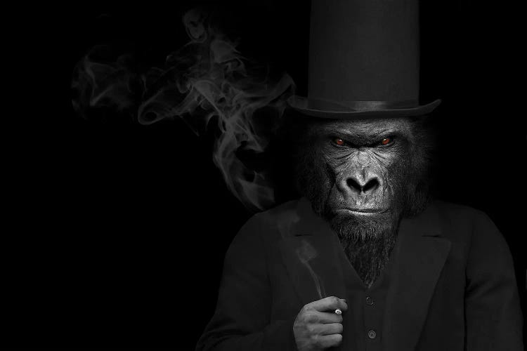 Man In The Form Of A Gorilla Person Smoking