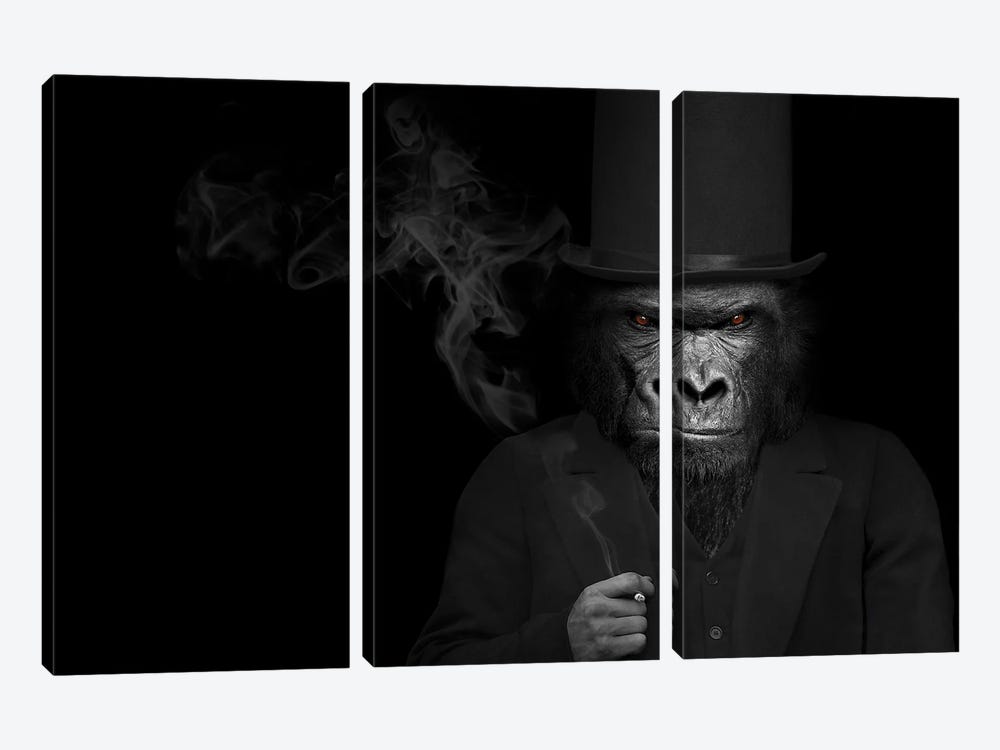 Man In The Form Of A Gorilla Person Smoking by Adrian Vieriu 3-piece Canvas Wall Art
