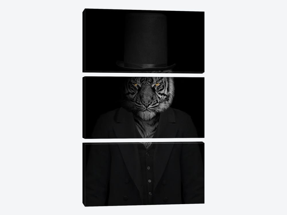 Man In The Form Of A Tiger Person by Adrian Vieriu 3-piece Canvas Art Print