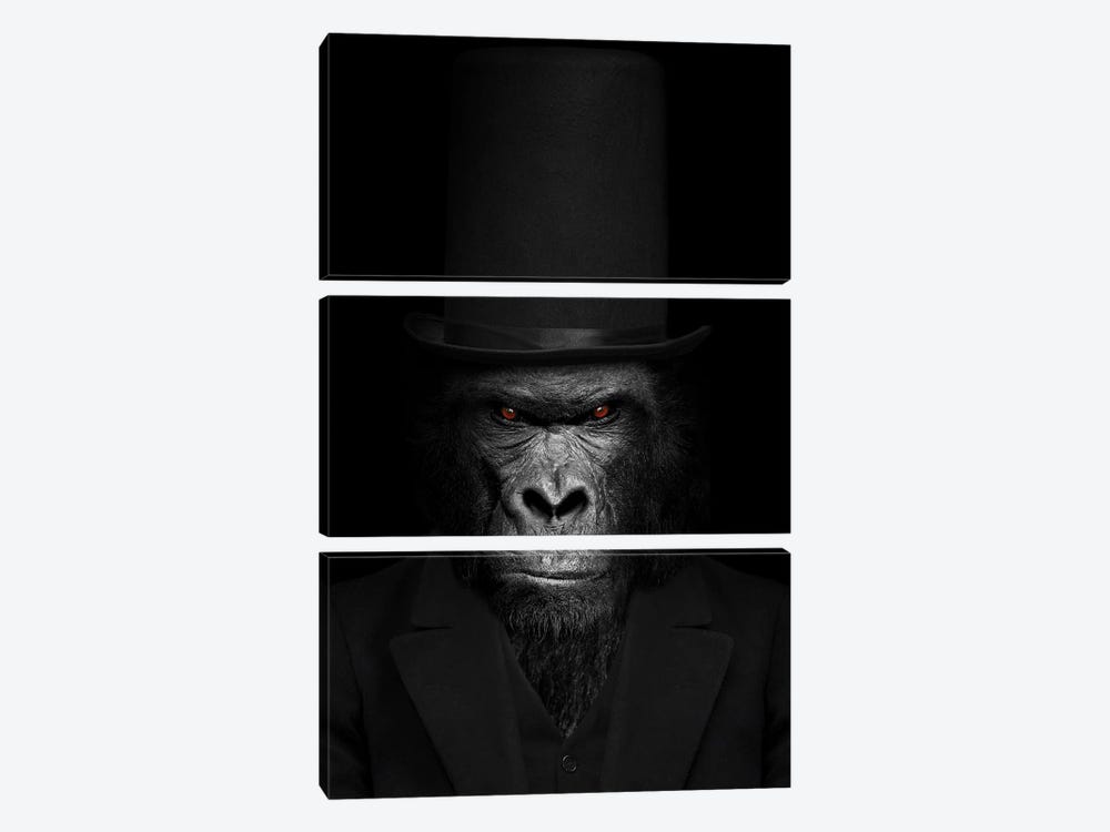 Man In The Form Of A Gorilla Person Black And White by Adrian Vieriu 3-piece Canvas Art