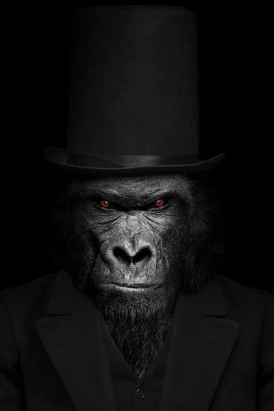 Gorillas: Man In The Form Of A Gorilla Person Black And White by Adrian Vieriu