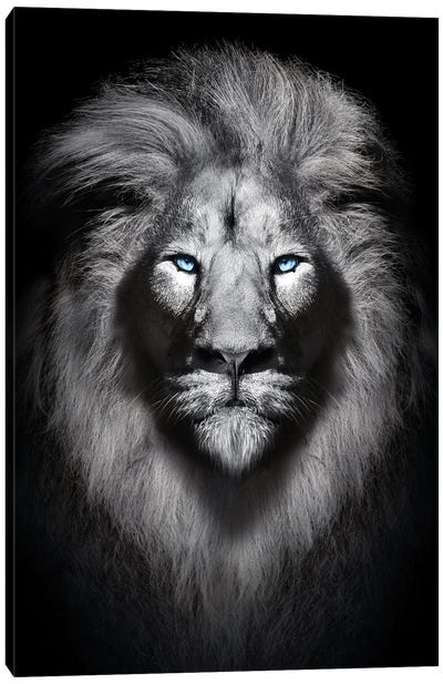 White Lion With Blue Eyes Portrait Canvas Art Print - Adrian Vieriu