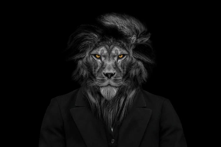 The Lion Person Head,Animal Face Isolated Black White