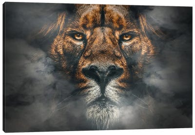 African Male Lion In Smoke Canvas Art Print - Adrian Vieriu