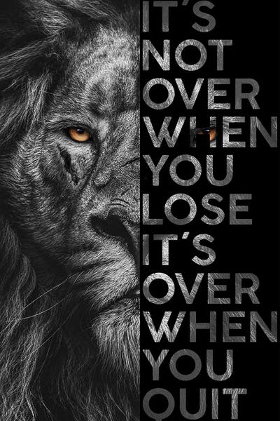 Lions: It's Not Over When You Lose… - Lion by Adrian Vieriu