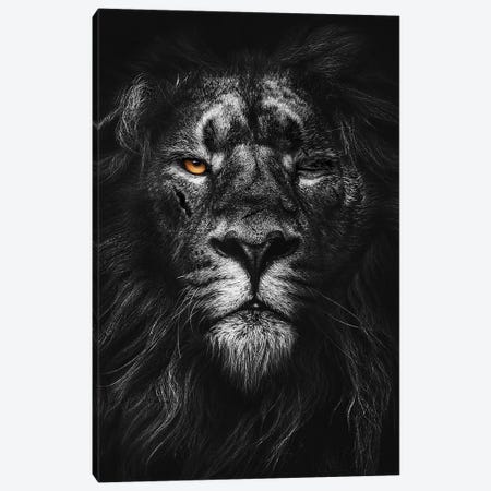 Warrior Lion Black And White Canvas Print #AVU84} by Adrian Vieriu Canvas Art