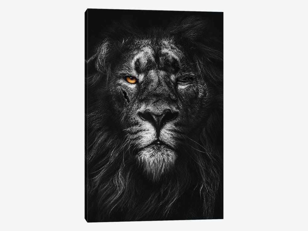 Warrior Lion Black And White by Adrian Vieriu 1-piece Canvas Print