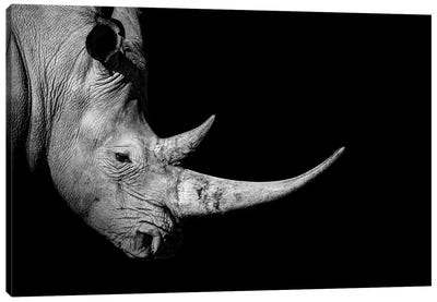 Rhinoceros Profile Black White Canvas Art Print - Adrian Vieriu