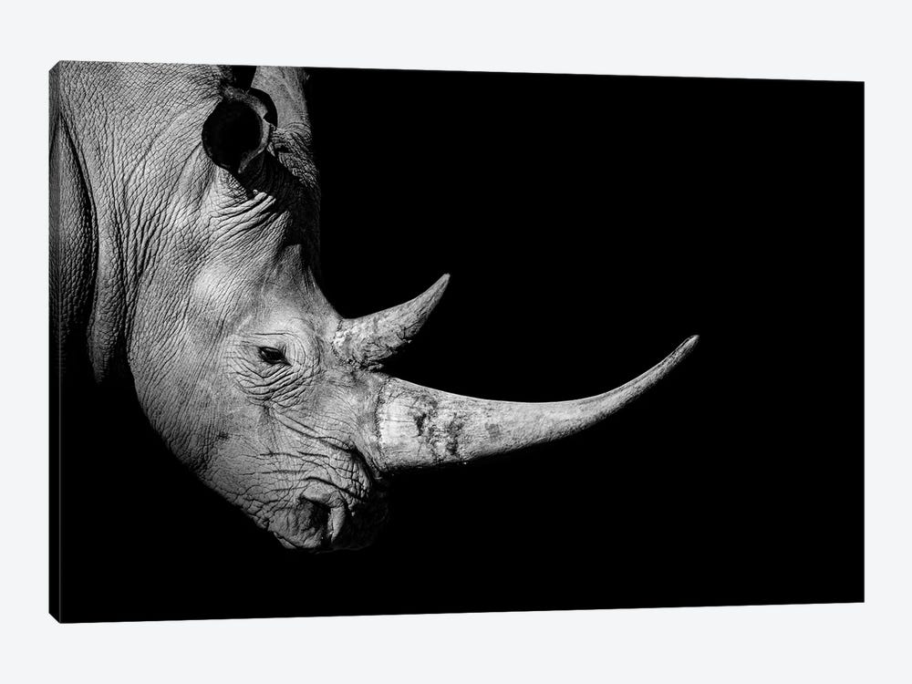 Rhinoceros Profile Black White by Adrian Vieriu 1-piece Canvas Print