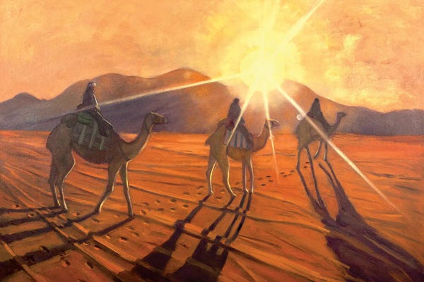 Camels: Aim Of Light by Aleksandre Vashakmadze