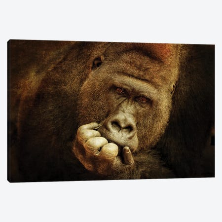 Think Different .... Canvas Print #AWB12} by Antje Wenner-Braun Canvas Art