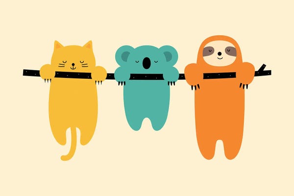 Koalas