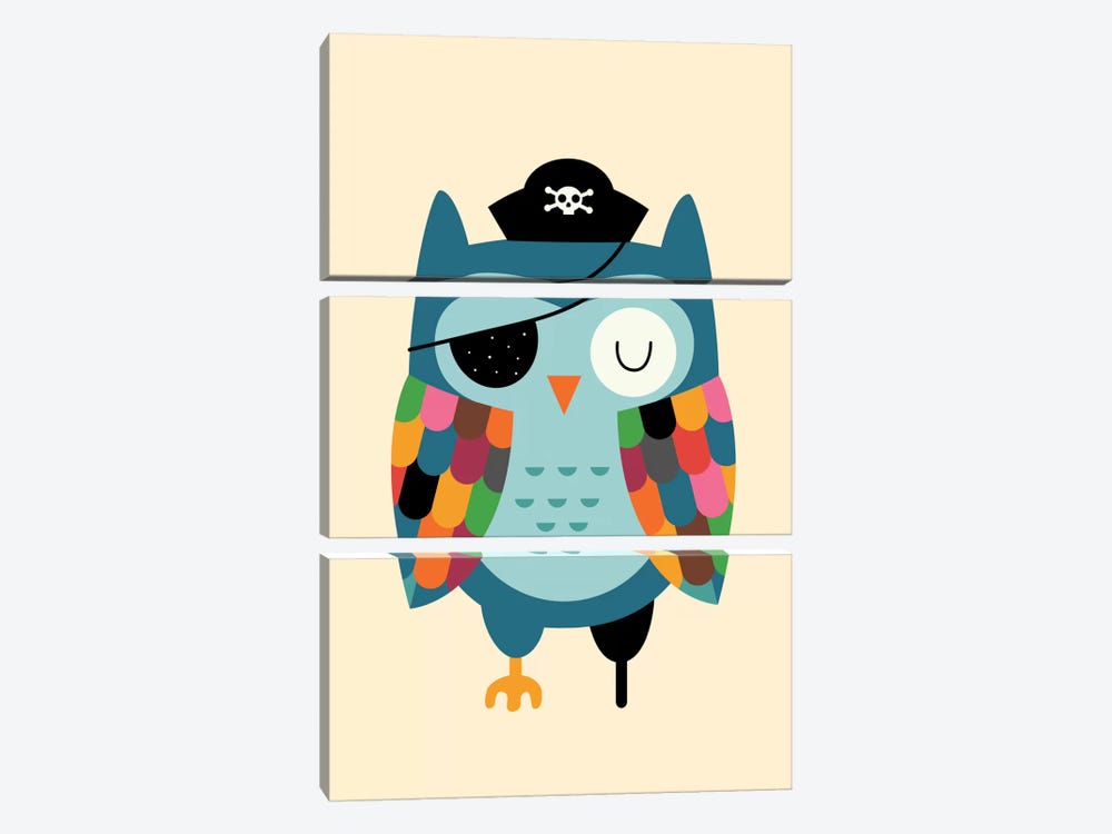 Captain Whooo by Andy Westface 3-piece Canvas Art Print