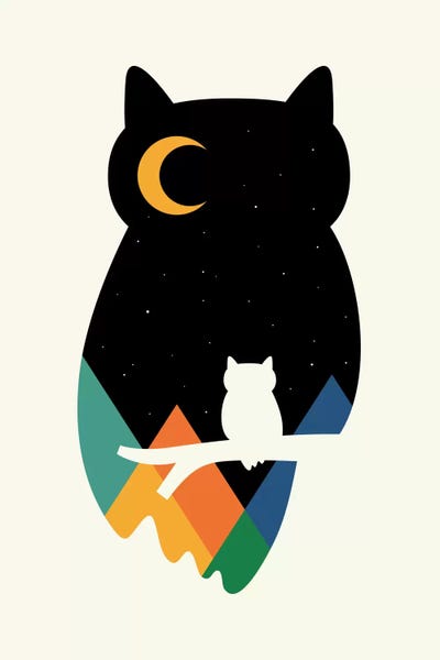 Kids Astronomy & Space Art: Eye On Owl by Andy Westface