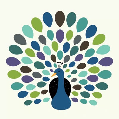 Peacock Time by Andy Westface metal wall art