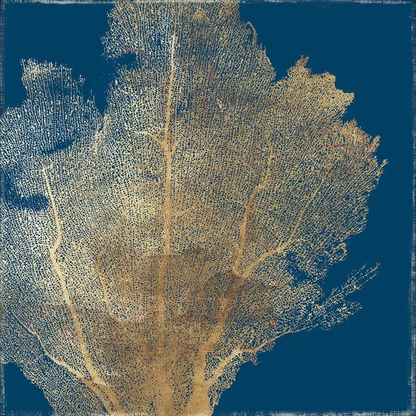Aimee Wilson: Gold Coral I by Aimee Wilson