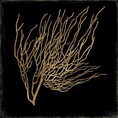Gold Coral II by Aimee Wilson metal wall art