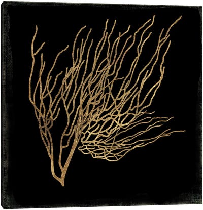 Gold Coral II Canvas Art Print - Black & Dark Art