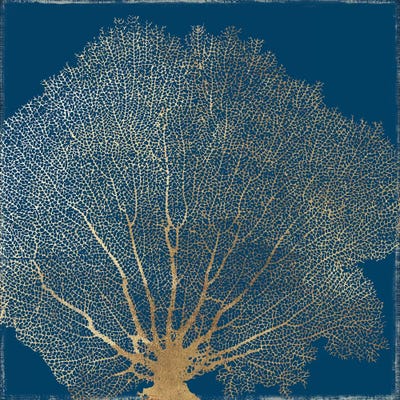 Gold Coral III by Aimee Wilson framed canvas print