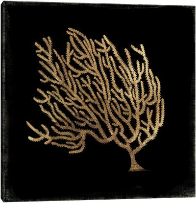 Gold Coral IV Canvas Art Print - Black & Dark Art