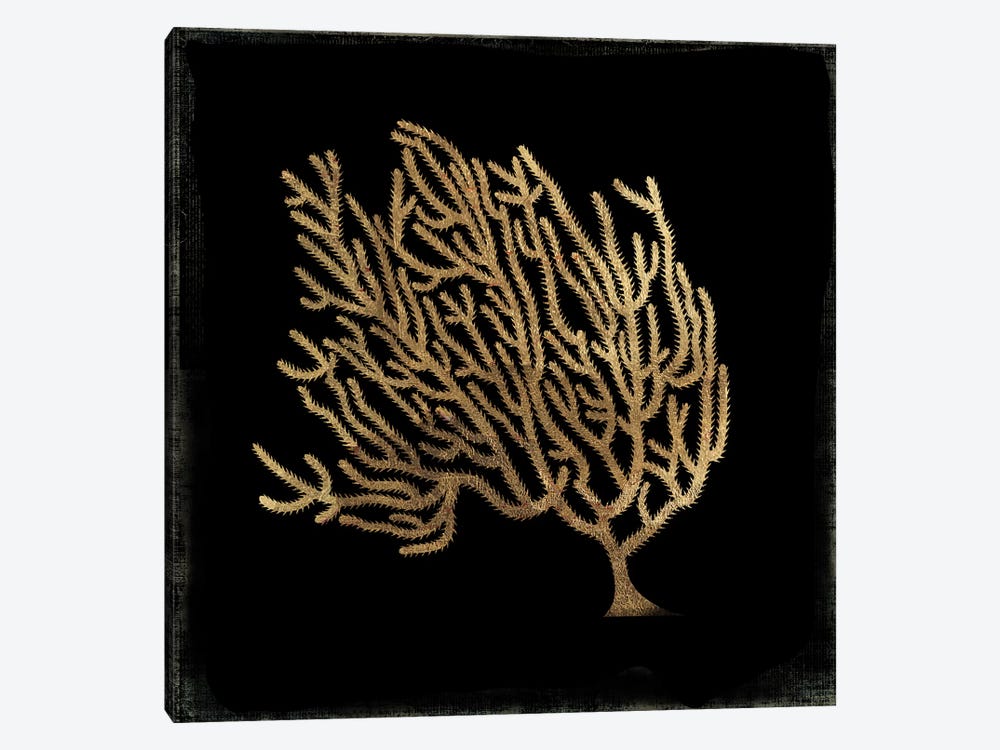 Gold Coral IV by Aimee Wilson 1-piece Canvas Artwork