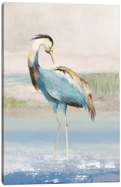 Heron On The Beach I Canvas Art Print - Great Blue Heron Art
