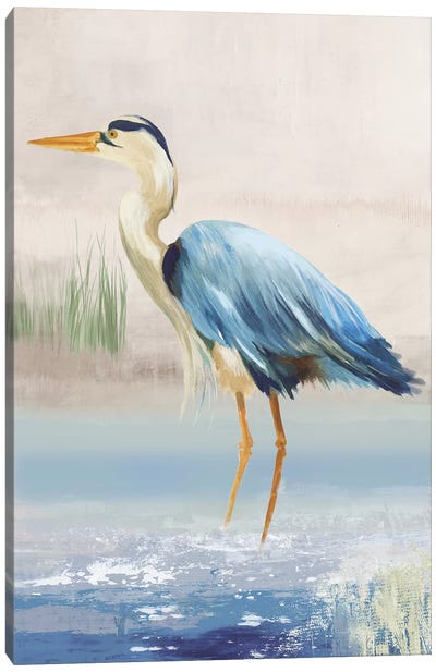Heron On The Beach II Canvas Art Print - Wildlife Art