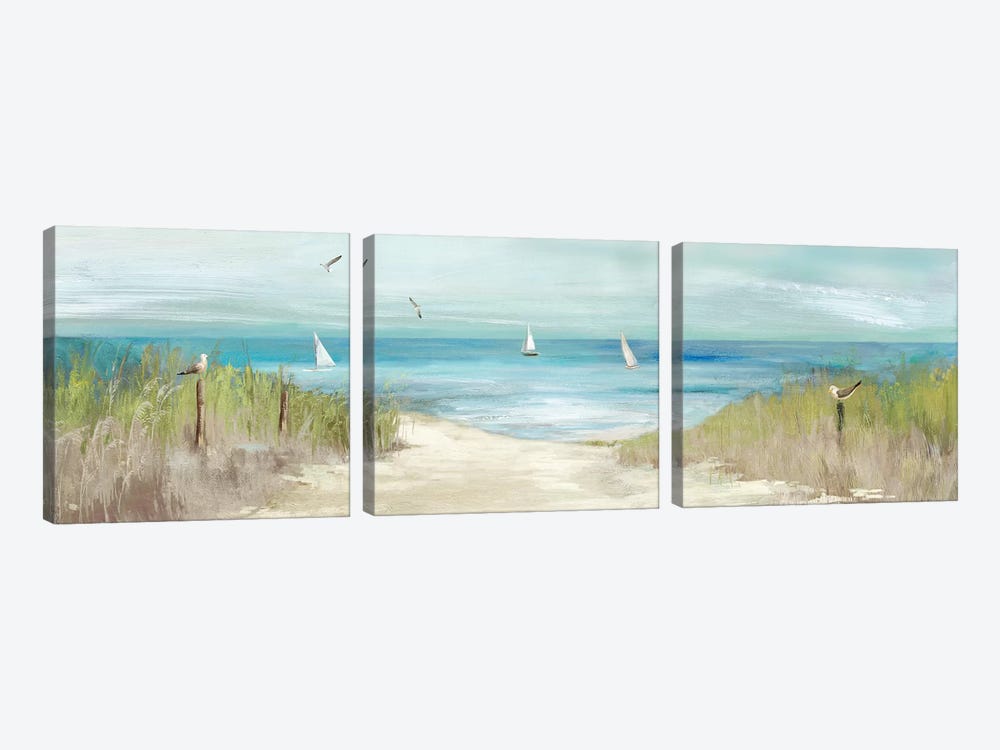 Beachlong Birds by Aimee Wilson 3-piece Canvas Print