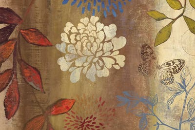 Natura I by Aimee Wilson canvas print